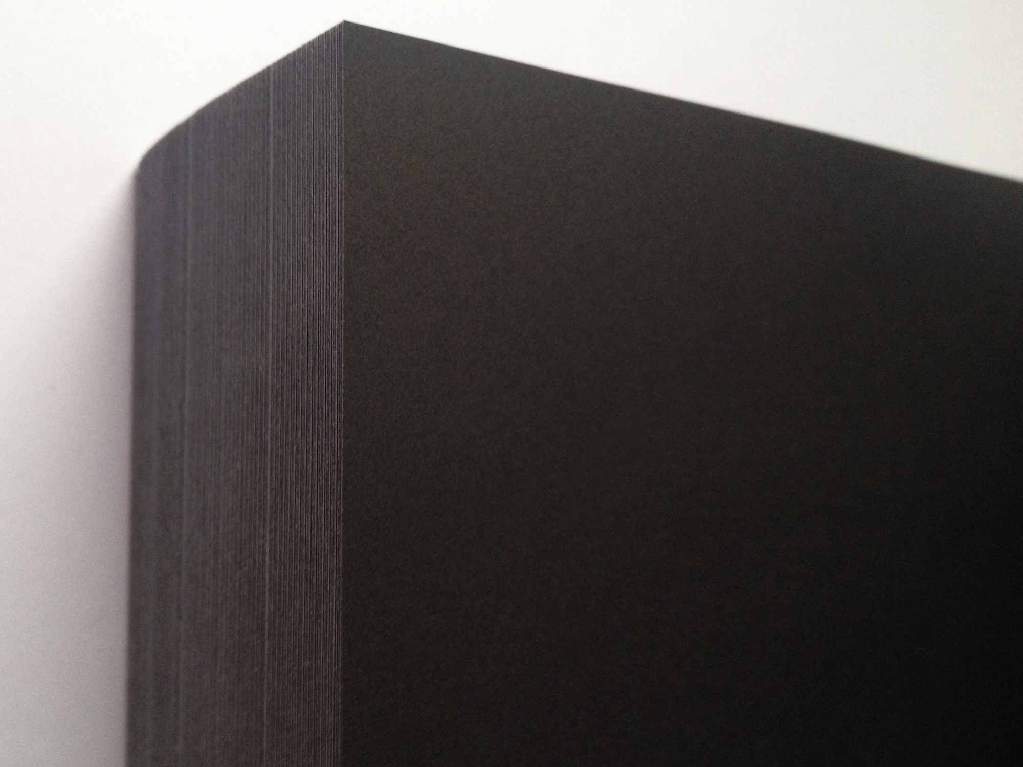 Black Book - Das Schwarze Buch
